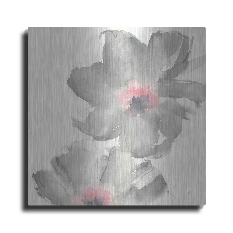 'Gray Blush Cosmos II' by Chris Paschke – Metal Wall Art