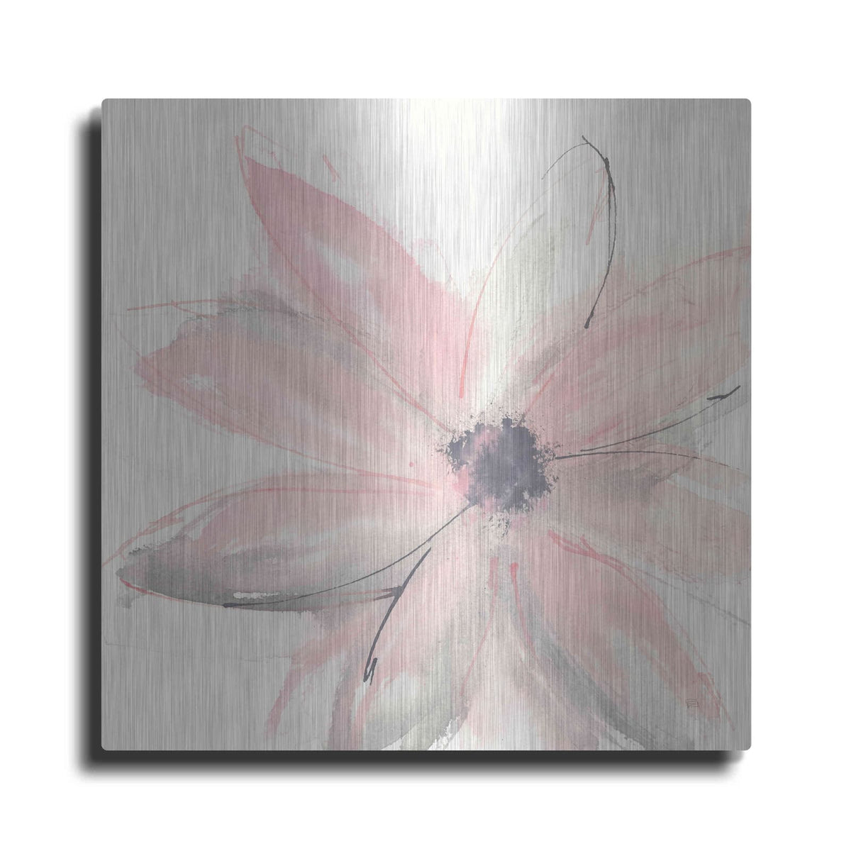 'Blush Clematis I' by Chris Paschke – Metal Wall Art