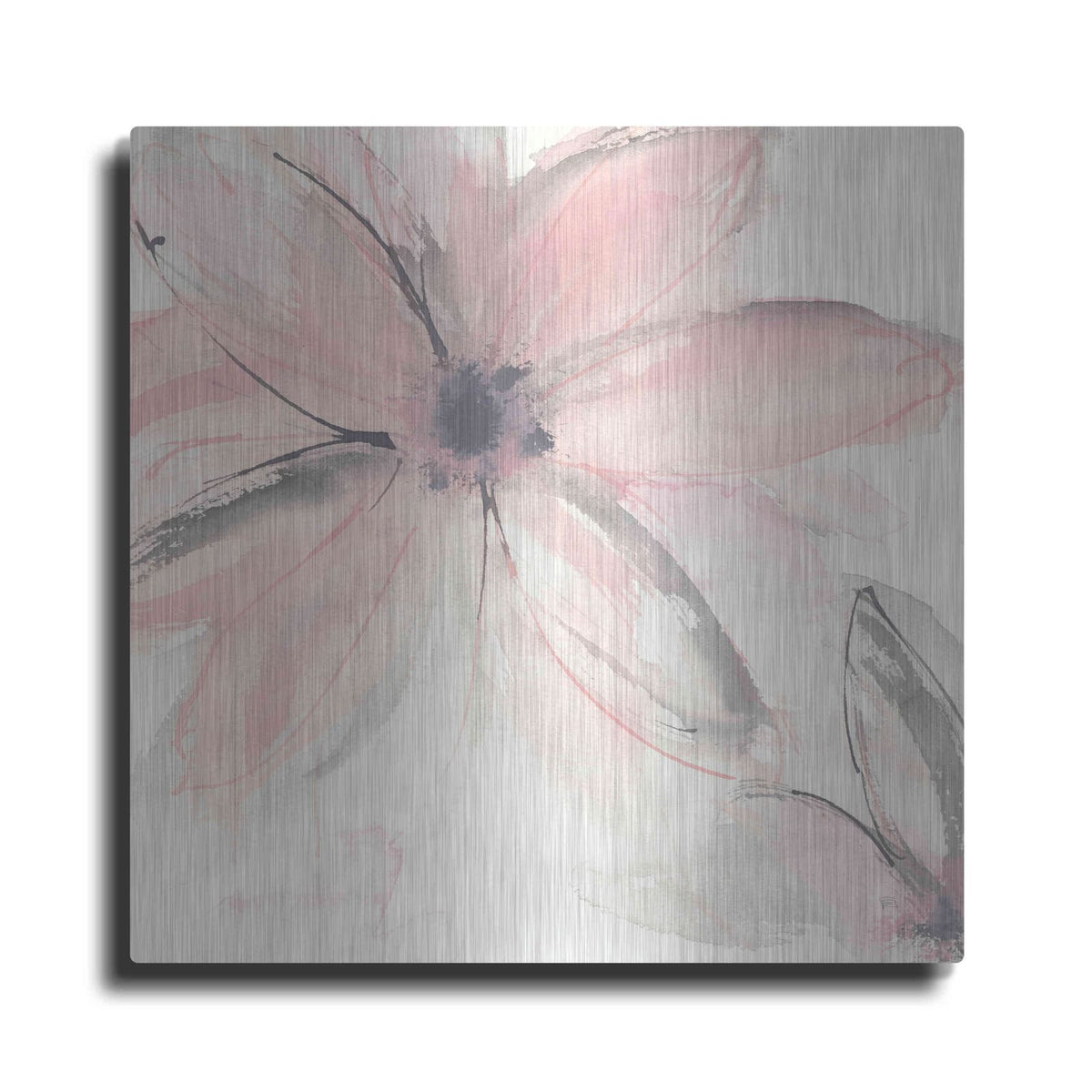 'Blush Clematis II' by Chris Paschke – Metal Wall Art