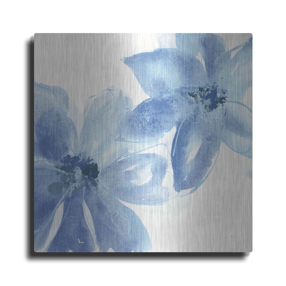 'Cobalt Clematis II' by Chris Paschke – Metal Wall Art