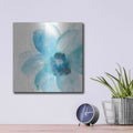 'Teal Cosmos II' by Chris Paschke – Metal Wall Art, 12x12 room view