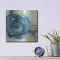 'Wannabe Poppies VI' by Chris Paschke – Metal Wall Art, 12x12 room view