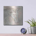 'Gray Head III' by Chris Paschke – Metal Wall Art, 12x12 room view