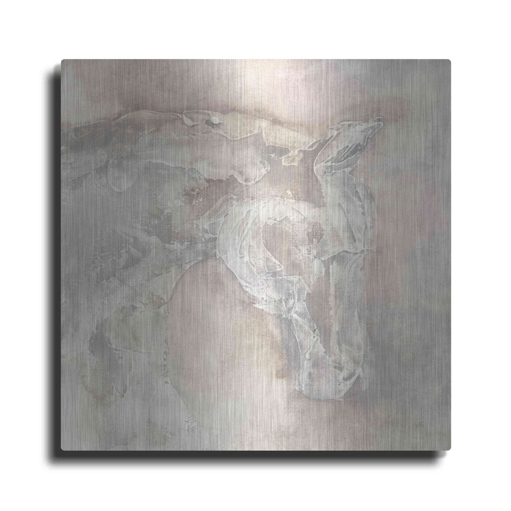 'Gray Head III' by Chris Paschke – Metal Wall Art