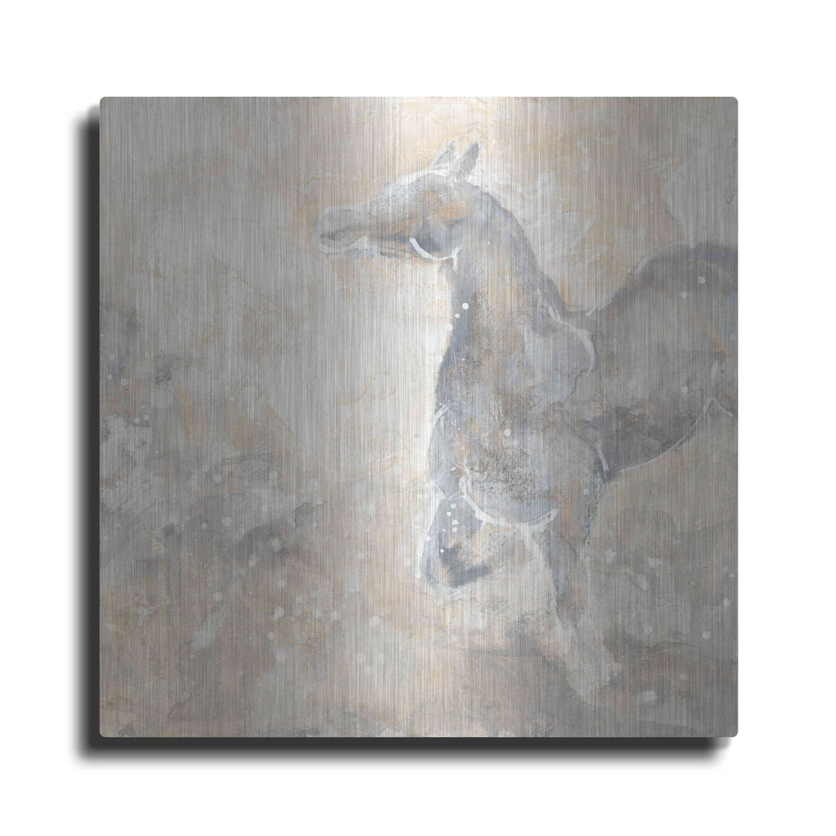 'Grey Horse II' by Chris Paschke – Metal Wall Art