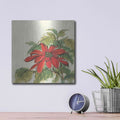 'Poinsettia I' by Chris Paschke – Metal Wall Art, 12x12 room view