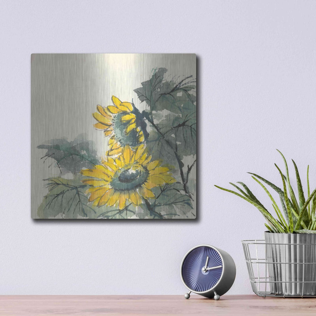 'Sunflower II' by Chris Paschke – Metal Wall Art, 12x12 room view