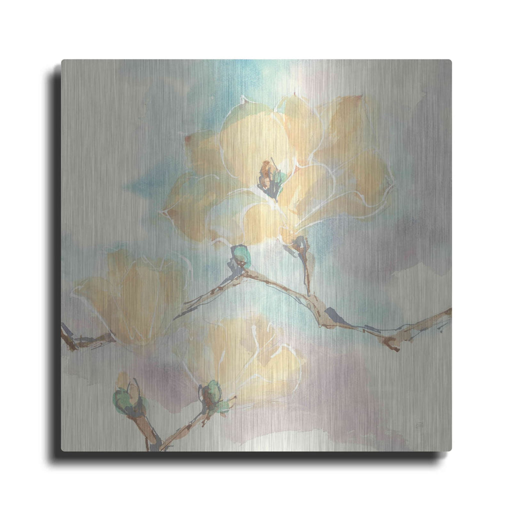 'Magnolias In White I' by Chris Paschke – Metal Wall Art
