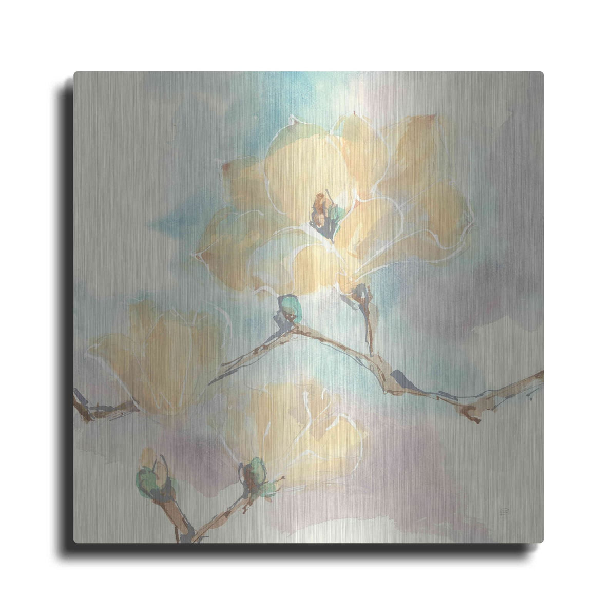'Magnolias In White I' by Chris Paschke – Metal Wall Art