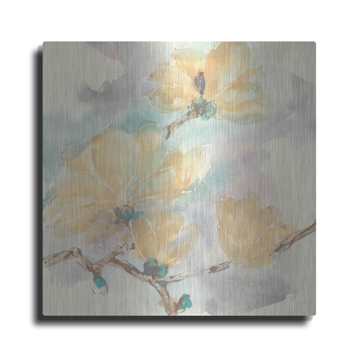 'Magnolias In White II' by Chris Paschke – Metal Wall Art