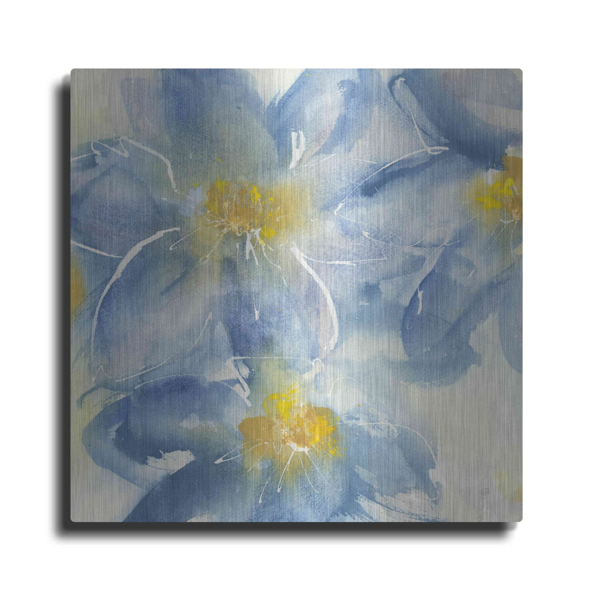 'Tinted Clematis I' by Chris Paschke – Metal Wall Art