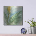 'Exotic Flower II' by Chris Paschke – Metal Wall Art, 12x12 room view