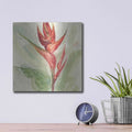 'Exotic Flower IV' by Chris Paschke – Metal Wall Art, 12x12 room view