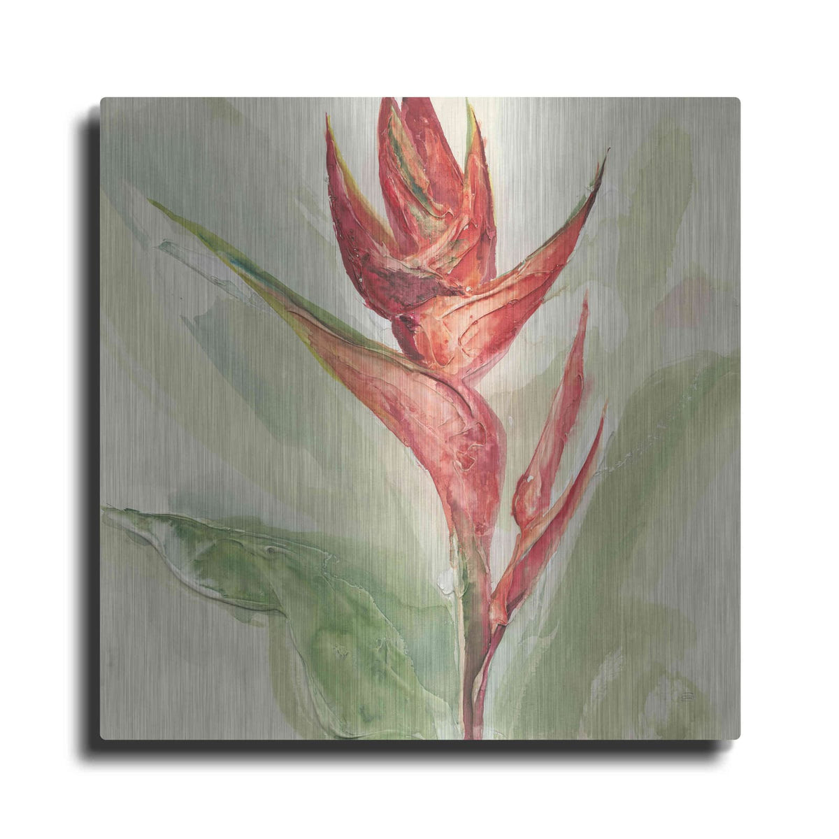'Exotic Flower IV' by Chris Paschke – Metal Wall Art