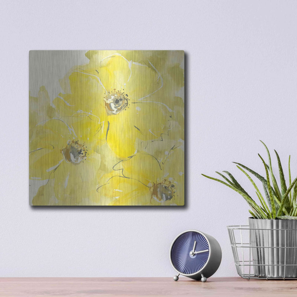 'Sunshine Cosmos I' by Chris Paschke – Metal Wall Art, 12x12 room view