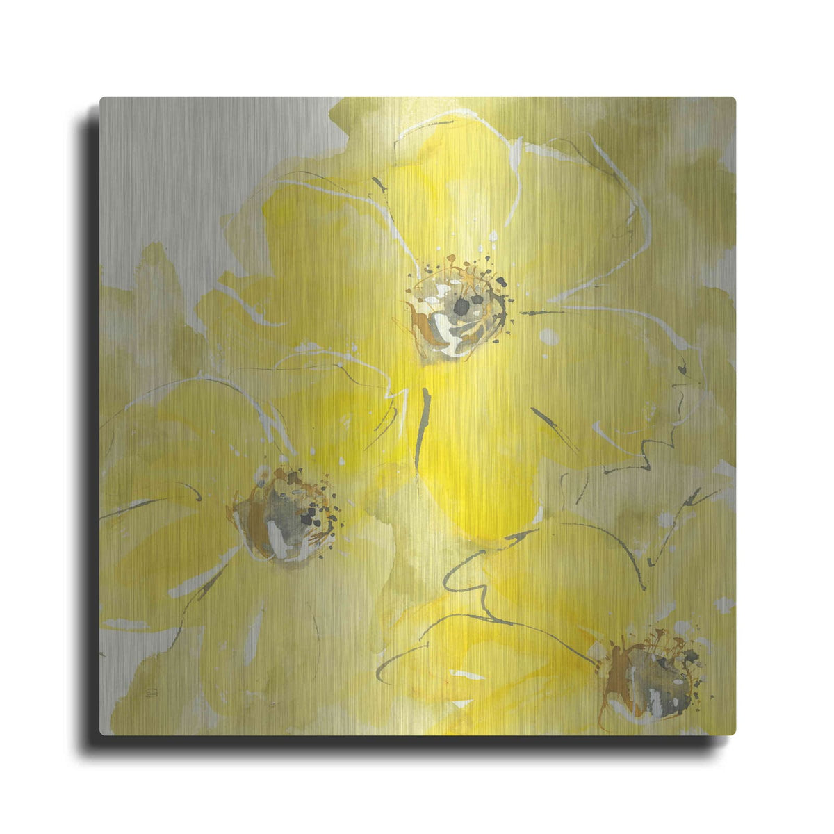 'Sunshine Cosmos I' by Chris Paschke – Metal Wall Art
