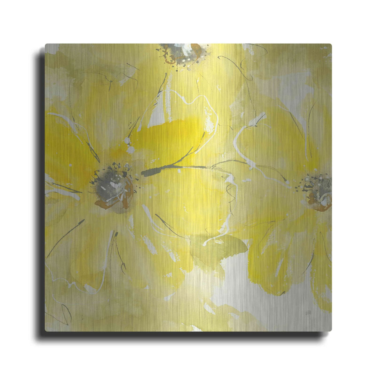 'Sunshine Cosmos II' by Chris Paschke – Metal Wall Art