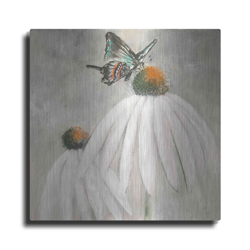 'Butterflies Are Free I' by Chris Paschke – Metal Wall Art
