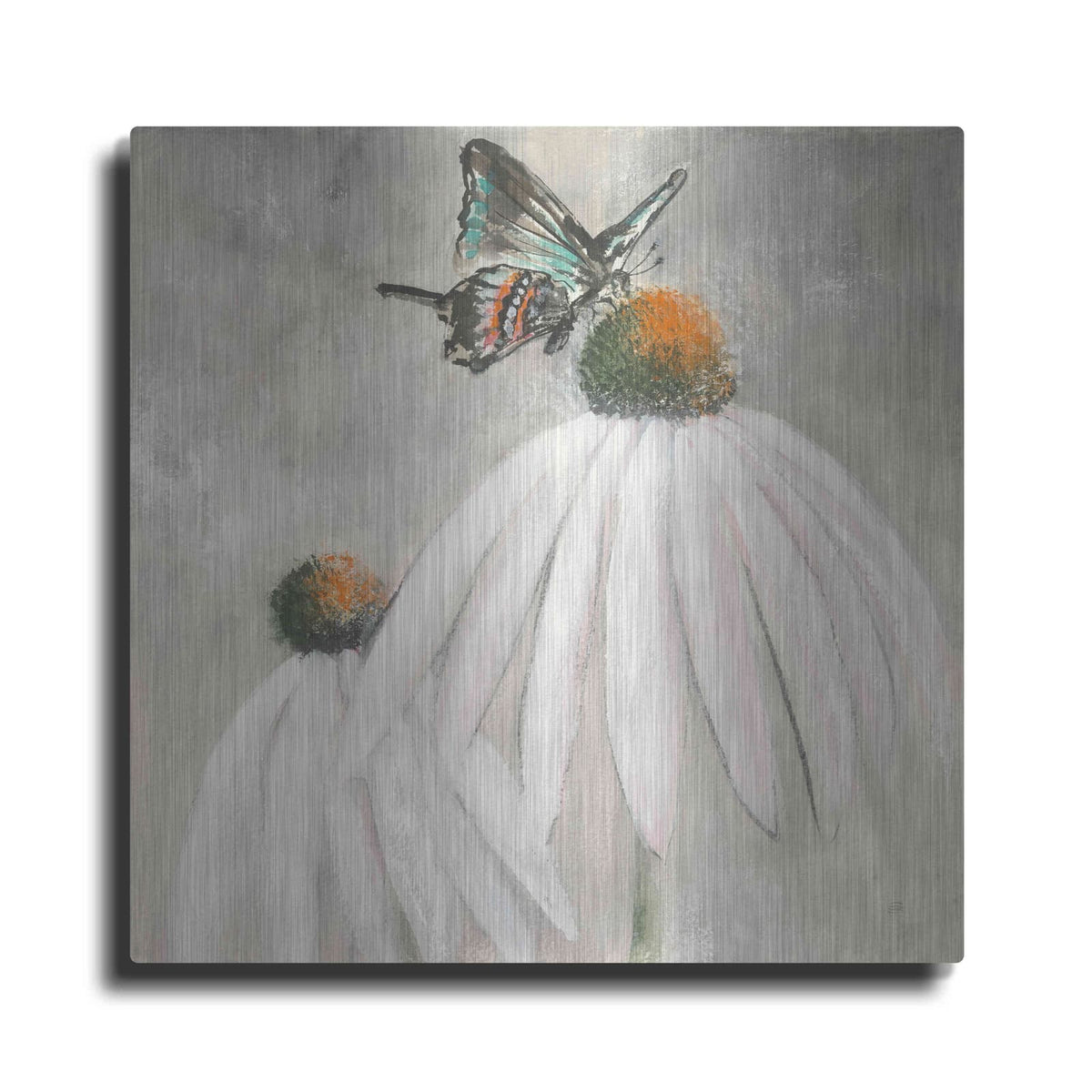 'Butterflies Are Free I' by Chris Paschke – Metal Wall Art