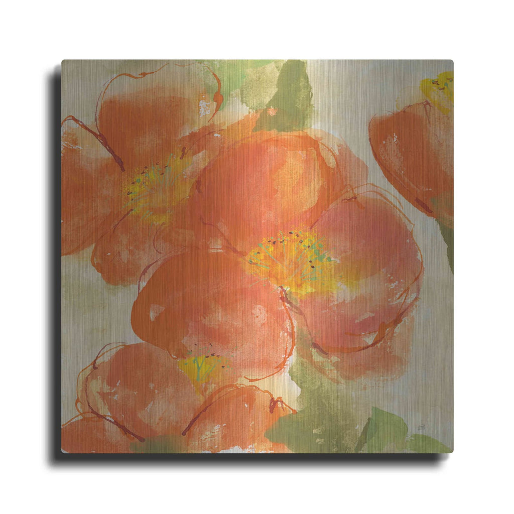 'Tangerine Poppies I' by Chris Paschke – Metal Wall Art