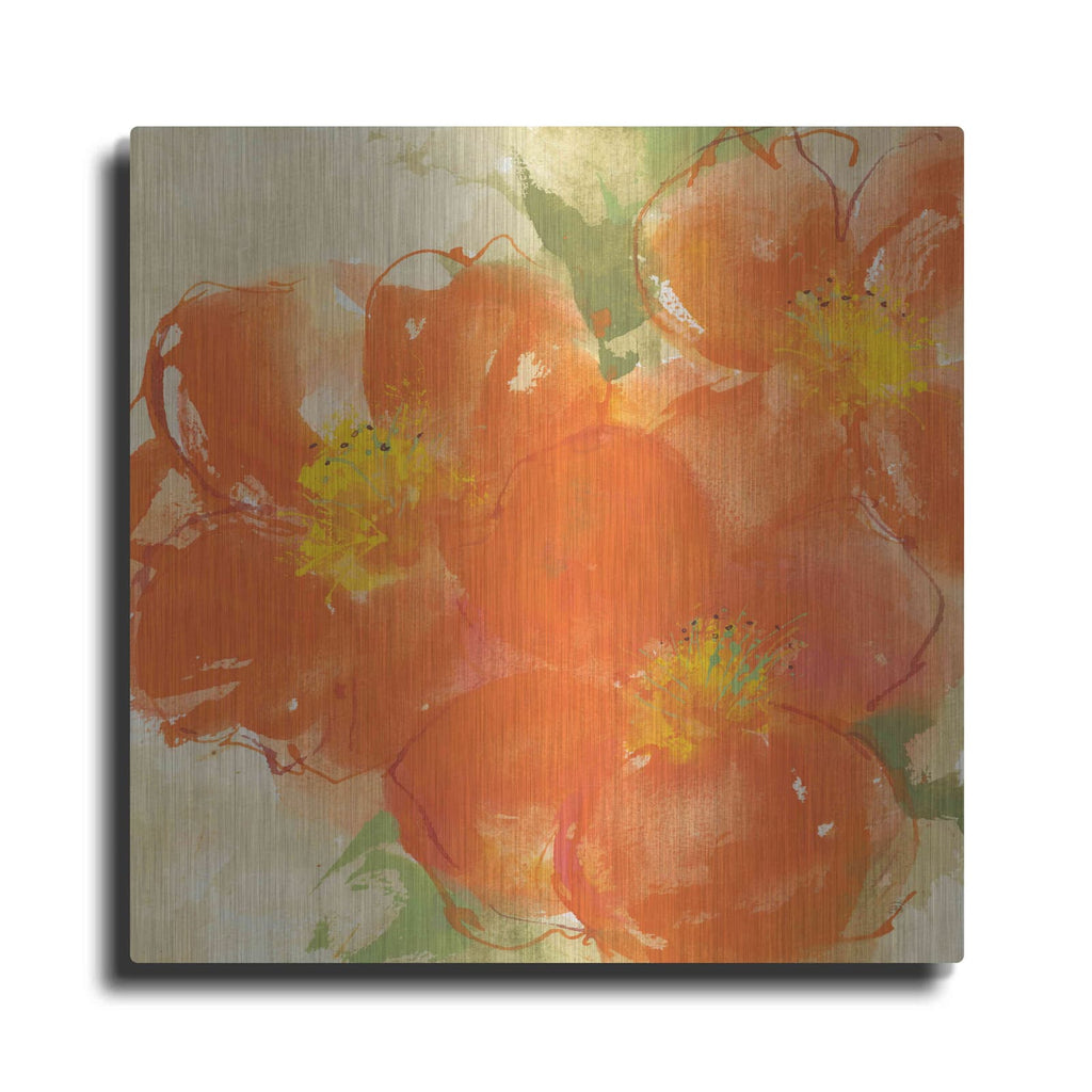 'Tangerine Poppies II' by Chris Paschke – Metal Wall Art