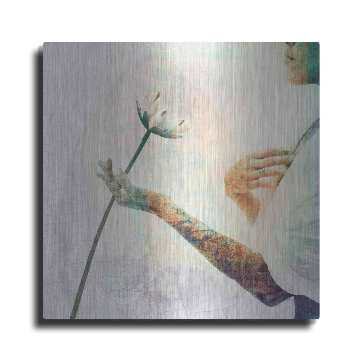 'Knowledge From The Heart' by Elena Ray – Metal Wall Art