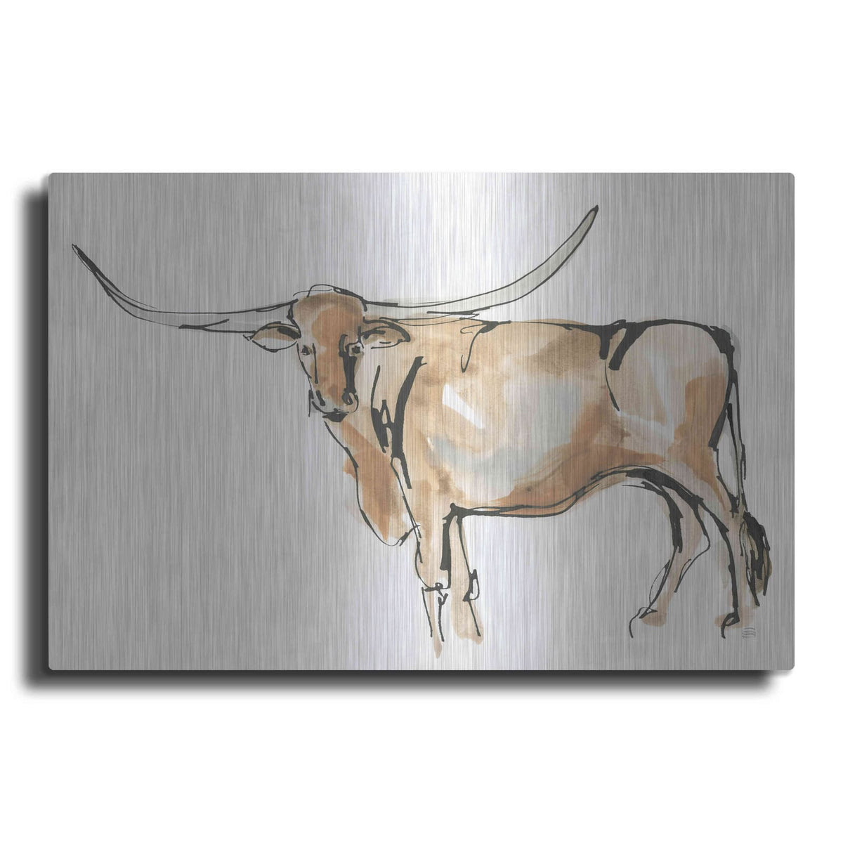 'Longhorn II' by Chris Paschke – Metal Wall Art