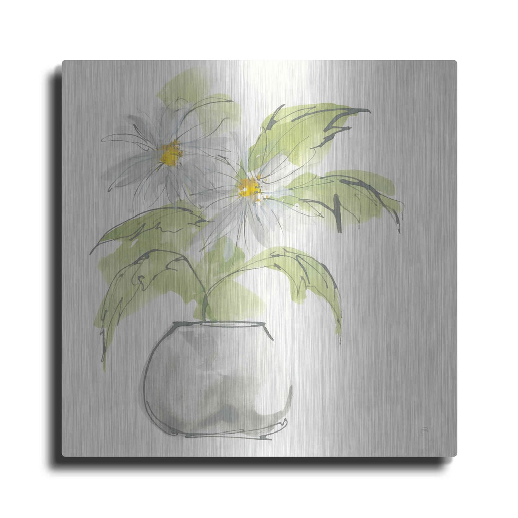 'Plant Daisy I' by Chris Paschke – Metal Wall Art