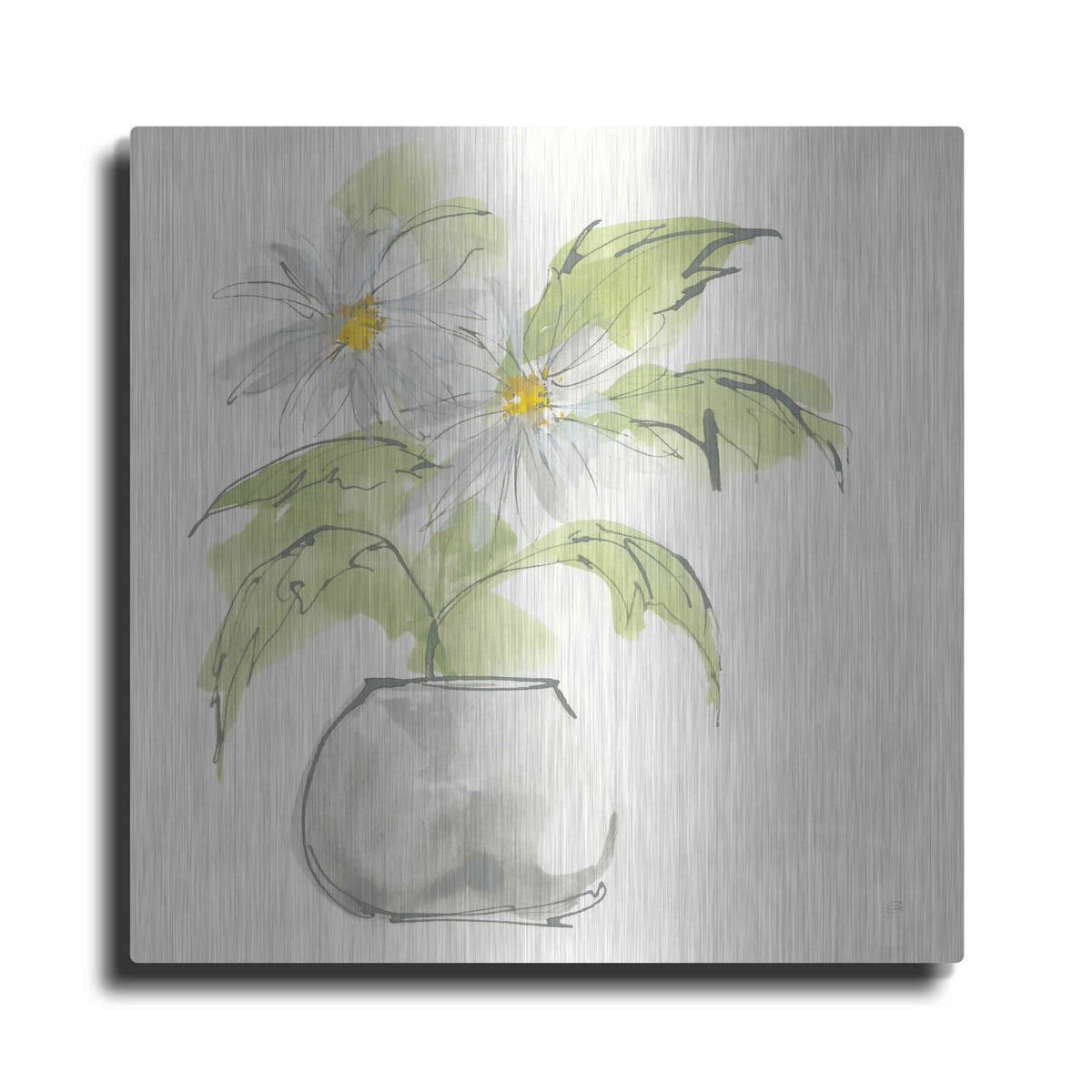 'Plant Daisy I' by Chris Paschke – Metal Wall Art
