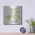 'Plant Daisy II' by Chris Paschke – Metal Wall Art, 12x12 room view