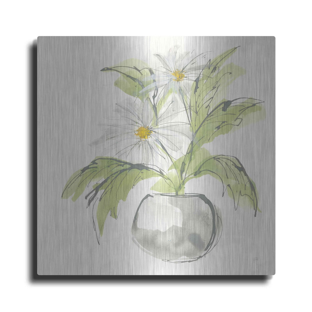 'Plant Daisy II' by Chris Paschke – Metal Wall Art
