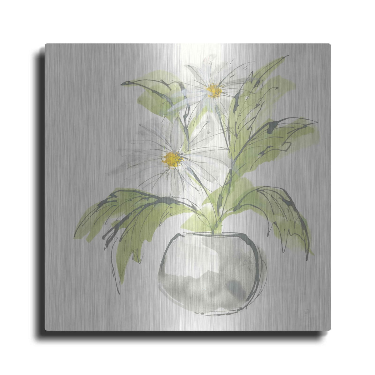 'Plant Daisy II' by Chris Paschke – Metal Wall Art