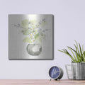 'Plant Blossom II' by Chris Paschke – Metal Wall Art, 12x12 room view