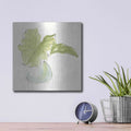 'Plant Big Leaf I' by Chris Paschke – Metal Wall Art, 12x12 room view