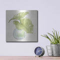 'Plant Big Leaf III' by Chris Paschke – Metal Wall Art, 12x12 room view