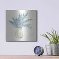 'Plant Eucalyptus IV' by Chris Paschke – Metal Wall Art, 12x12 room view