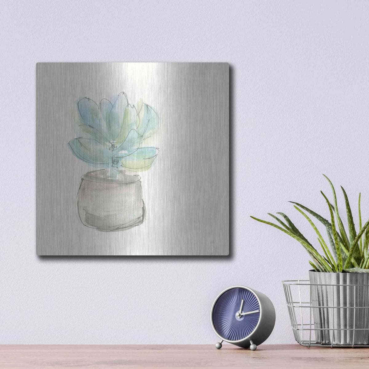 'Succulent I' by Chris Paschke – Metal Wall Art, 12x12 room view