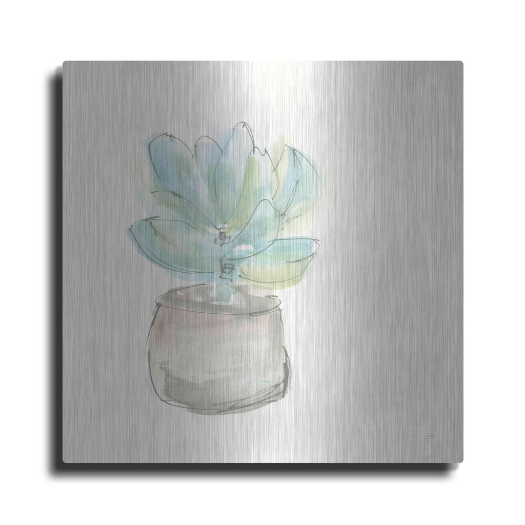 'Succulent I' by Chris Paschke – Metal Wall Art
