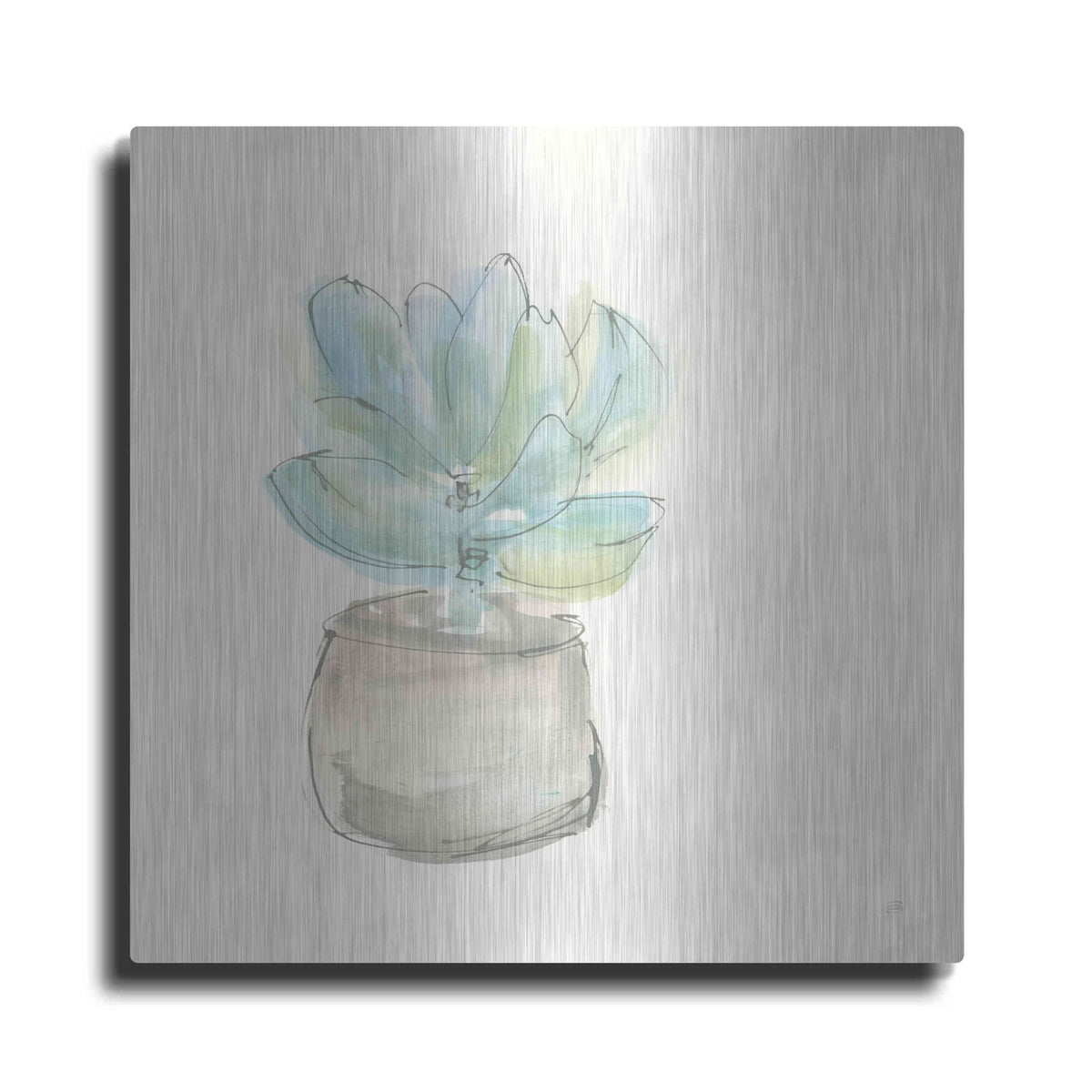 'Succulent I' by Chris Paschke – Metal Wall Art