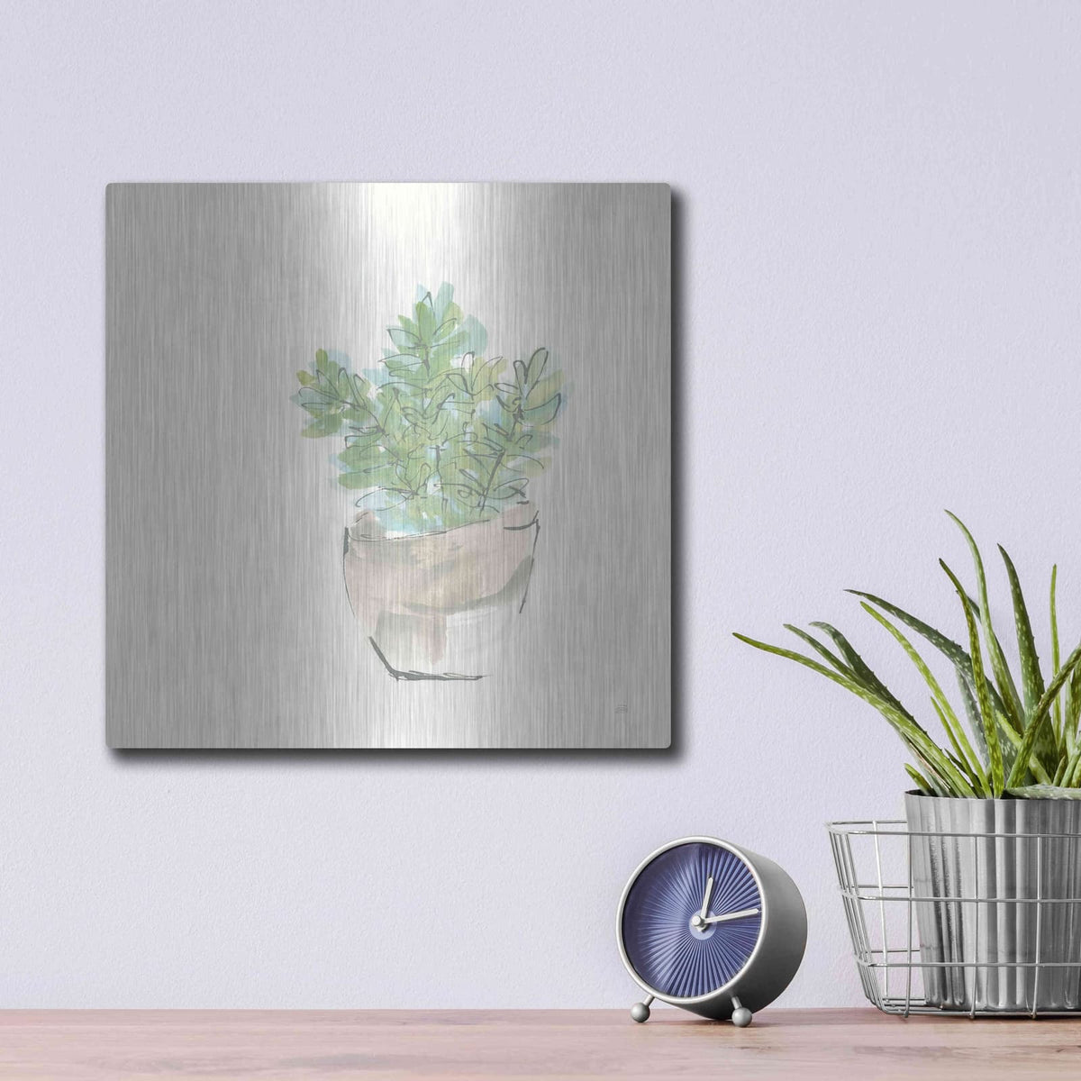 'Succulent II' by Chris Paschke – Metal Wall Art, 12x12 room view
