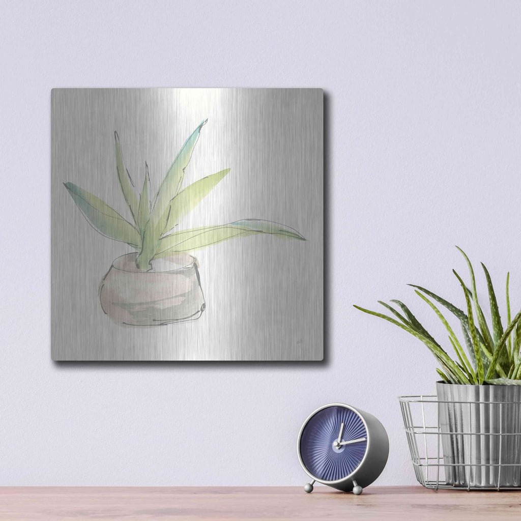 'Succulent III' by Chris Paschke – Metal Wall Art, 12x12 room view
