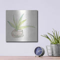 'Succulent III' by Chris Paschke – Metal Wall Art, 12x12 room view