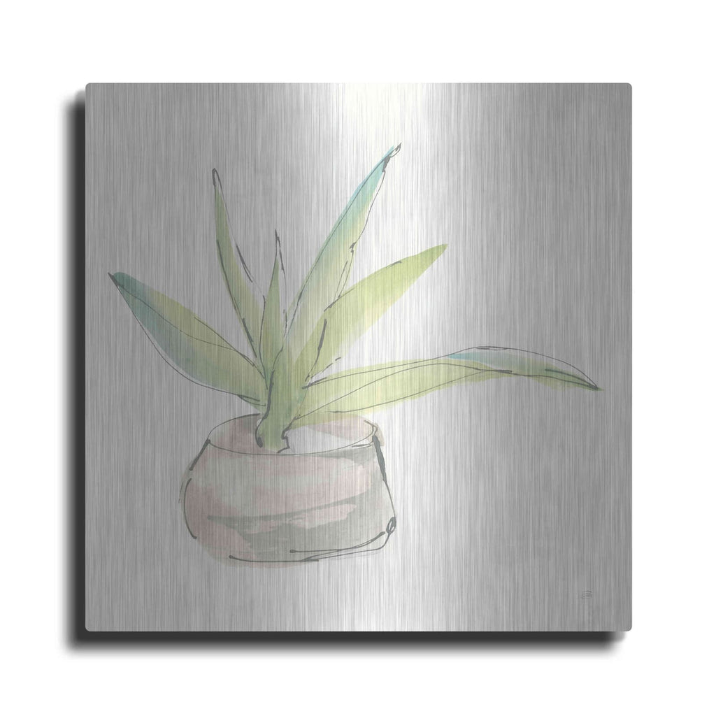 'Succulent III' by Chris Paschke – Metal Wall Art