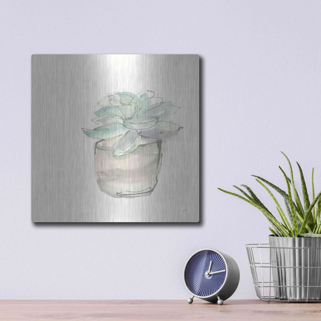 'Succulent IV' by Chris Paschke – Metal Wall Art, 12x12 room view
