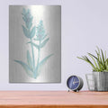 'Lambs Ear Sage I' by Chris Paschke – Metal Wall Art, 12x16 room view