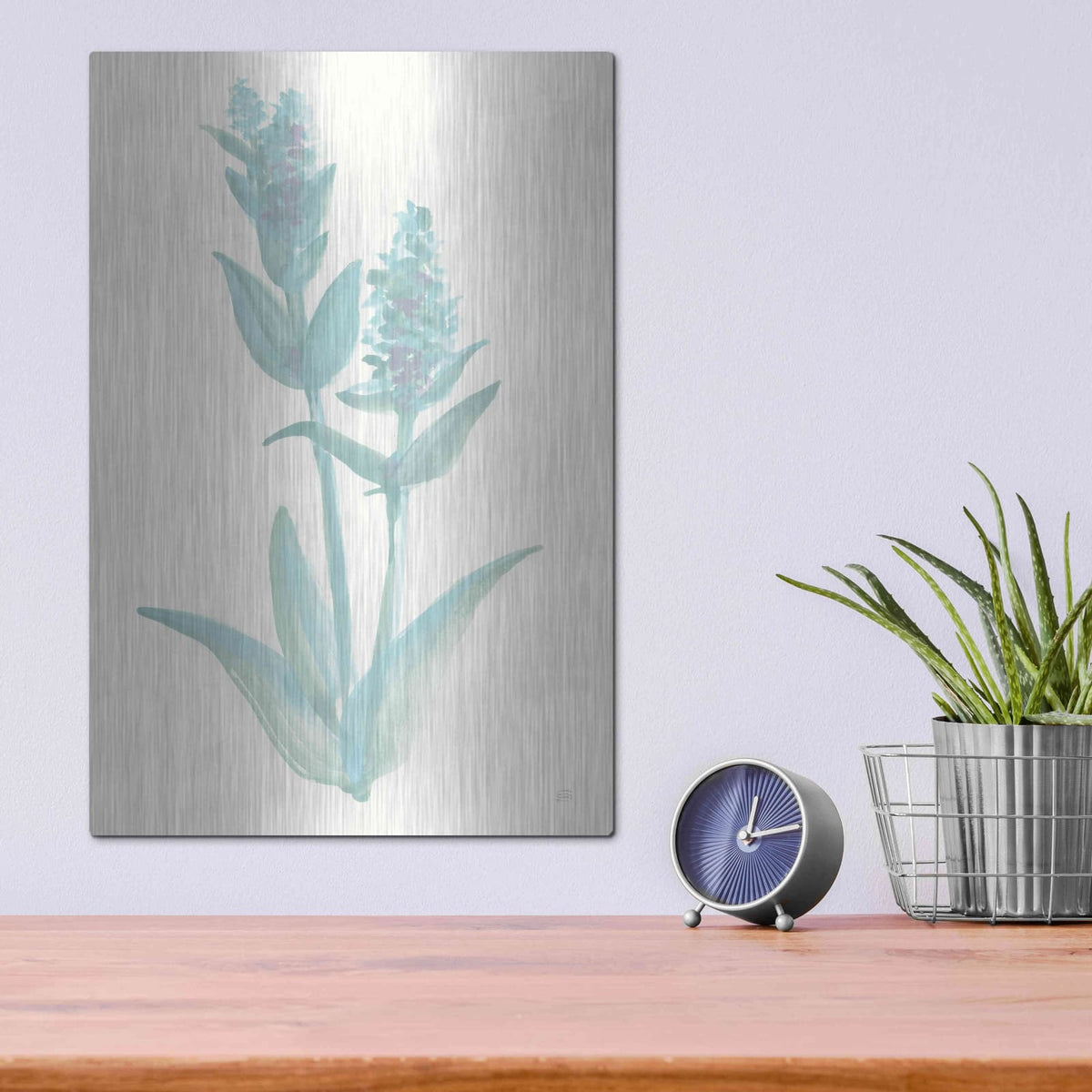 'Lambs Ear Sage I' by Chris Paschke – Metal Wall Art, 12x16 room view
