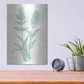 'Lambs Ear Sage II' by Chris Paschke – Metal Wall Art, 12x16 room view