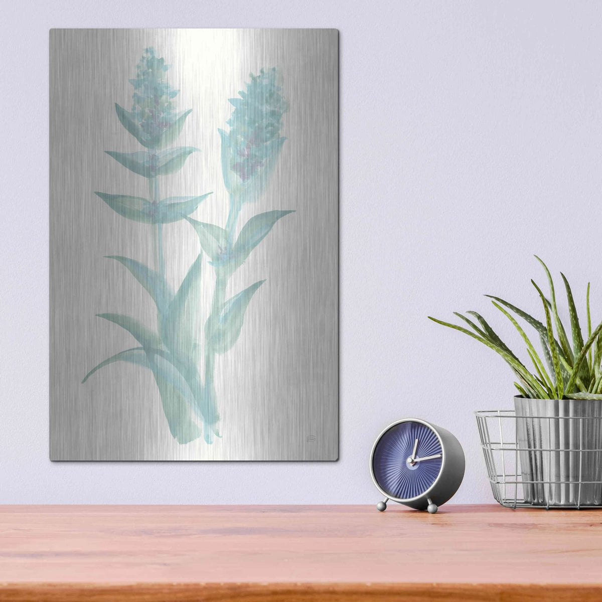 'Lambs Ear Sage II' by Chris Paschke – Metal Wall Art, 12x16 room view