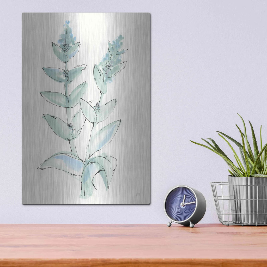 'Lambs Ear Sage III' by Chris Paschke – Metal Wall Art, 12x16 room view