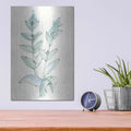 'Lambs Ear Sage III' by Chris Paschke – Metal Wall Art, 12x16 room view
